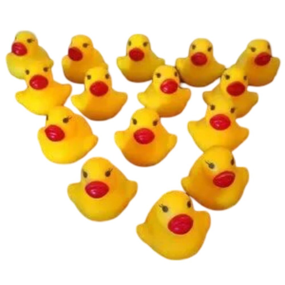 Baby Ducks :)